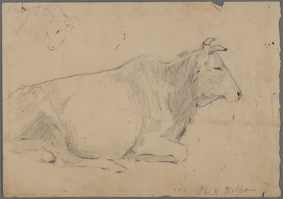 Zittende stier door Philip H. Wolfrom