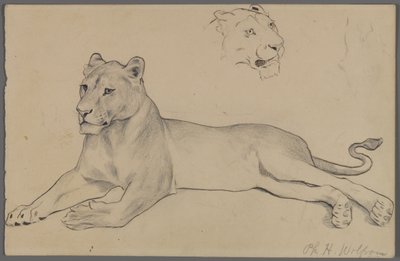 Zittende leeuwin door Philip H. Wolfrom
