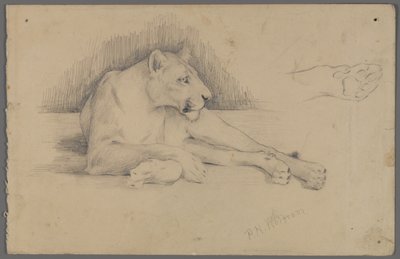 Zittende leeuwin door Philip H. Wolfrom