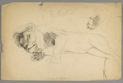 Slapende leeuw door Philip H. Wolfrom