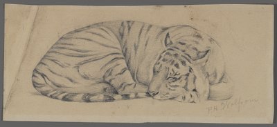 Slapende tijger door Philip H. Wolfrom