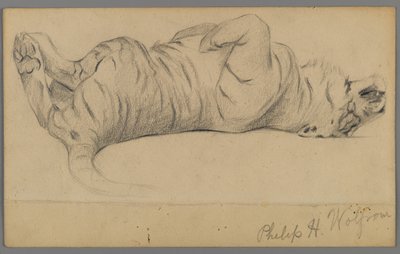 Slapende tijger door Philip H. Wolfrom