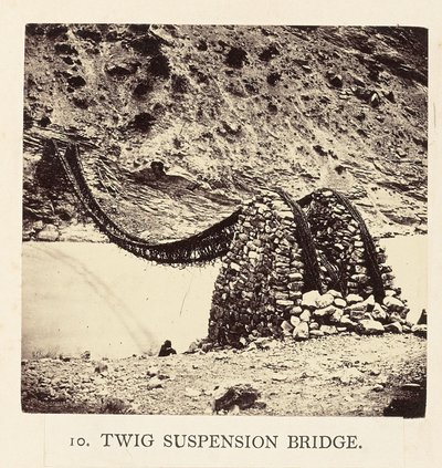 Twig hangbrug door Philip Henry Egerton