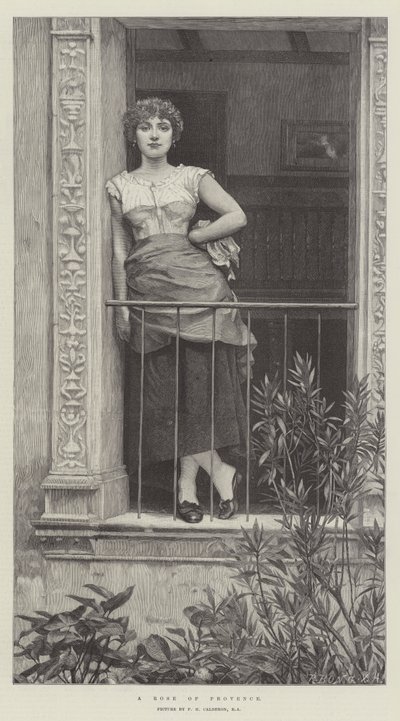 Een Roos uit de Provence door Philip Hermogenes Calderon
