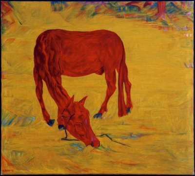 Paard in vrijheid door Philipp Bauknecht