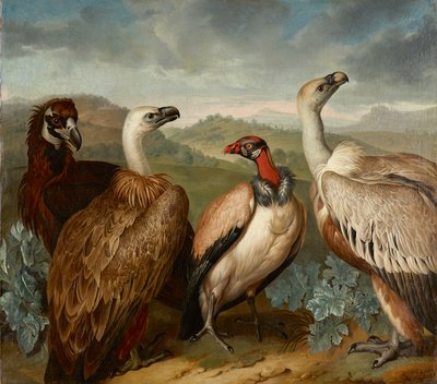 Vier gieren van verschillende soorten door Philipp Ferdinand de Hamilton