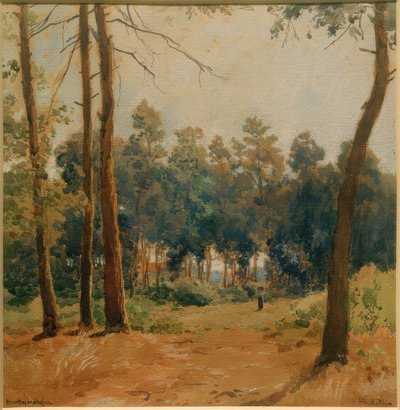 Boslandschap bij Hartmannshofen door Philipp Röth
