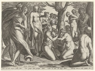 Geboorte van Adonis door Philips Galle