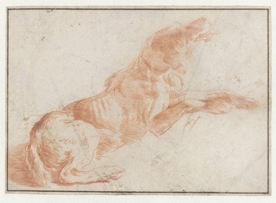 Liggende hond door Philips Wouwerman (possibly)