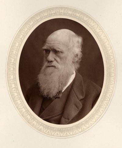 Portret van Charles Darwin 1809-1882, 1877 door Photo studio Lock and Whitfield