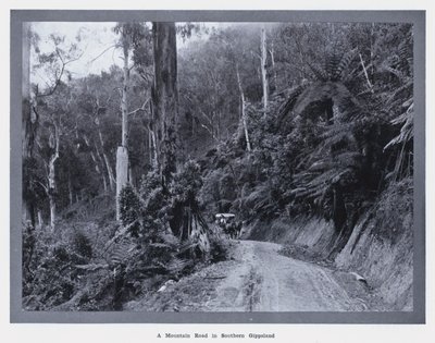 Een bergweg in Zuid-Gippsland door Photographer Australian