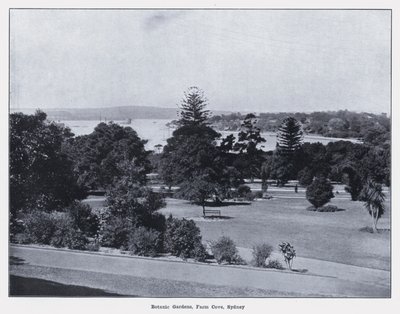 Botanische tuinen, Farm Cove, Sydney door Photographer Australian