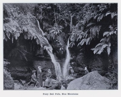 Fairy Dell Watervallen, Blue Mountains door Photographer Australian