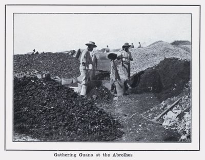 Verzamelen van guano bij de Abrolhos door Photographer Australian