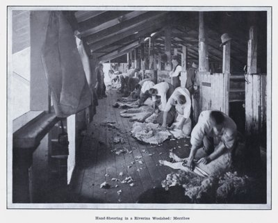 Handscheren in een Riverina-wolschuur, Merribee door Photographer Australian