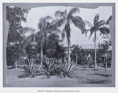 Woning van de manager, Kamerunga State Nursery, Cairns door Photographer Australian