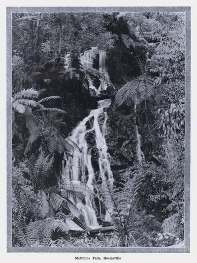 Mathinna-watervallen, Healesville door Photographer Australian