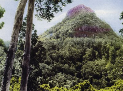 Queensland, Australië: Mt Cordeaux door Photographer Australian