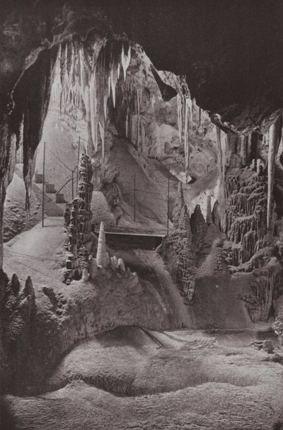 Scène in de beroemde Jenolan-grotten, New South Wales door Photographer Australian