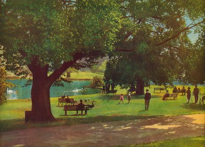  door Photographer Australian