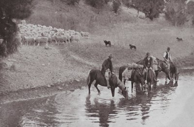 De Rust, Typische Australische Veedrijvers door Photographer Australian