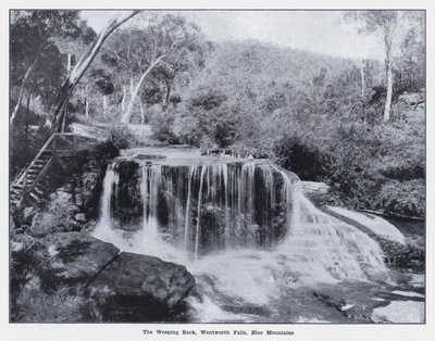 De Huilende Rots, Wentworth Falls, Blue Mountains door Photographer Australian