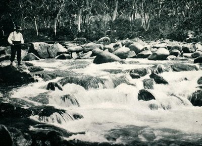 Trout rapids in Snowy River, Jindabyne, New South Wales, c.1900, uit Under the Southern Cross - Glimpses of Australia, uitgegeven door Department of External Affairs, Melbourne door Photographer Australian