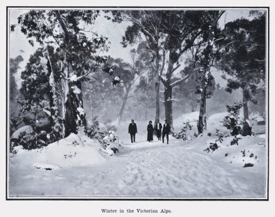 Winter in de Victoriaanse Alpen door Photographer Australian