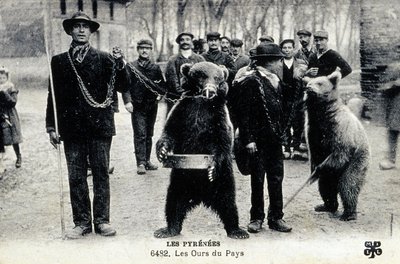 Berenexposities in de Pyreneeën, ca 1900 (z/w foto) door Photographer French