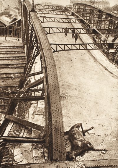 Doorbraak van de geallieerde legers in Oost-Galicië: voetbrug over spoorweg opgeblazen door Russen in Ternopil door Photographer German