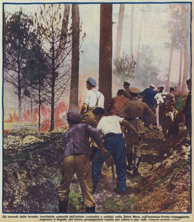 Boeren en soldaten vechten tegen een bosbrand in het Zwarte Woud, Duitsland door Photographer German