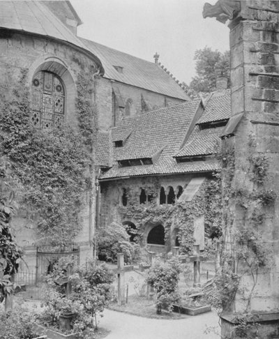 Duizendjarige rozenstruik door Photographer German