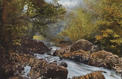 Ierland: In De Dargle, County Wicklow door Photographer Irish