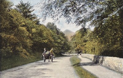 Ierland: De Glen of the Downs, Sugar Loaf Mountain, County Wicklow door Photographer Irish