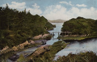 Zuid-Ierland: Parknasilla, County Kerry door Photographer Irish