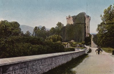 Zuid-Ierland: Ross Castle, Killarney (gekleurde foto) door Photographer Irish