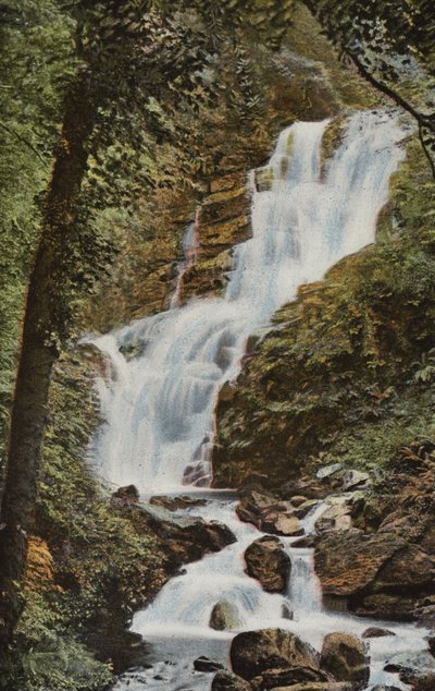 Zuid-Ierland: Torc Waterval, Killarney door Photographer Irish