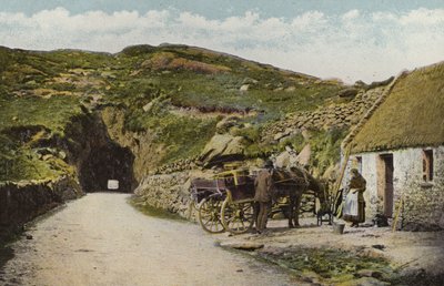 Zuid-Ierland: Tunnel bij Glengarriff, County Cork door Photographer Irish