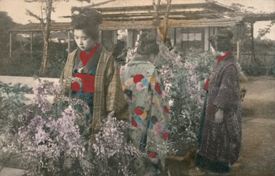 Japanse vrouwen met wisteriaplanten door Photographer Japanese