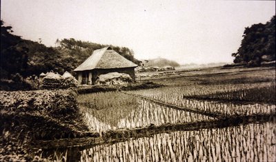Rijstvelden in Japan door Photographer Japanese