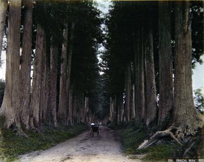 Riksja op een met bomen omzoomde weg in Nikko, ca. 1900 door Photographer Japanese