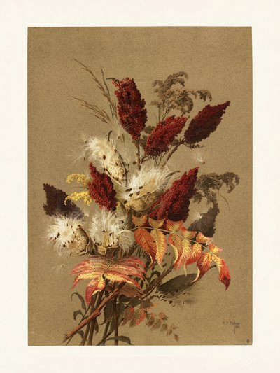 Sumak en kroontjeskruid Door Ellen Thayer Fisher door Pictufy