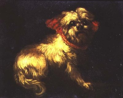 Een Maltezer Terrier door Pier Francesco Cittadini