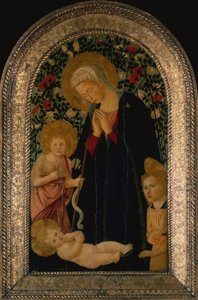 De Madonna die het Kind Aanbidt met de Jonge Sint Jan de Doper, Engel en Rozenhaag erachter door Pier Francesco Fiorentino