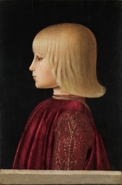 Portret van een Jongen Guidobaldo Da Montefeltro, ca. 1479 door Piero della Francesca