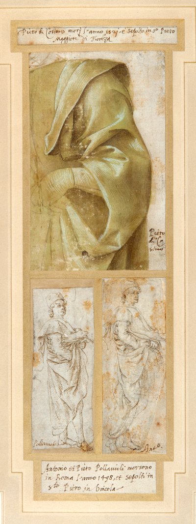 Een zwaar gedrapeerde linkerarm en schouder van een man door Piero di Cosimo