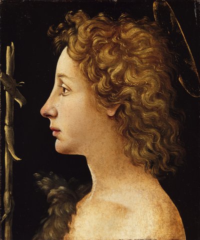 De jonge Sint Jan de Doper door Piero di Cosimo