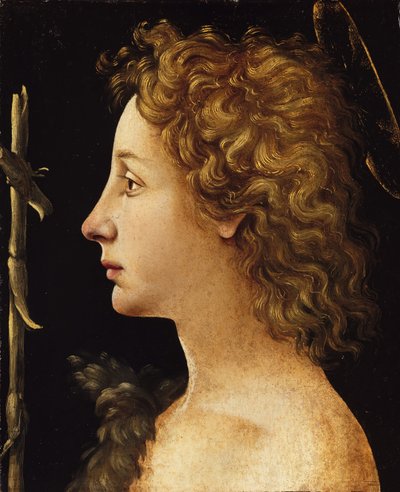 De Jonge Sint-Jan de Doper door Piero di Cosimo