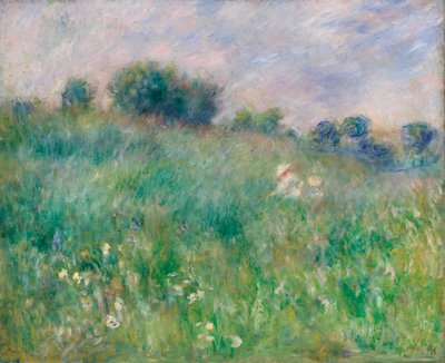 Weide door Pierre-Auguste Renoir