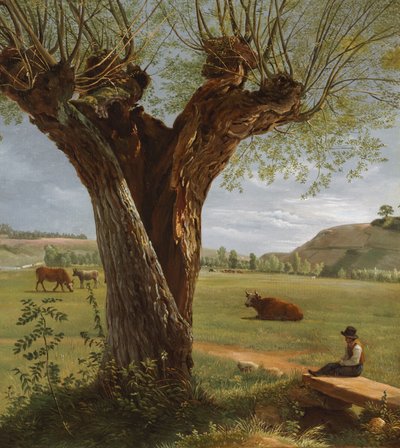 Knotwilg, na 1804 door Pierre Jean Boquet